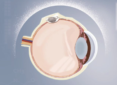 尊龙凯时 - 人生就是搏!